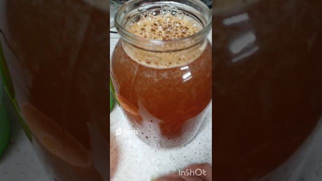 семена Годжи из сухих ягод смотреть онлайн