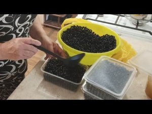 Обычная повседневная суета!!!