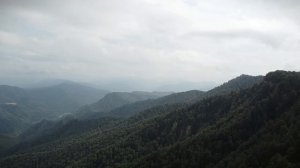 Как снимать на стабилизатор или карданный подвес