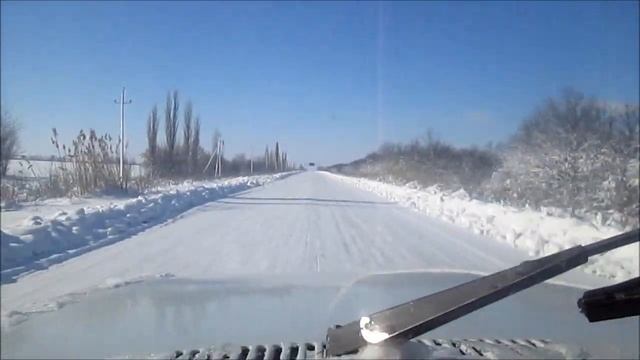 Поросята! ВЕНГЕРСКАЯ ПУХОВАЯ МАНГАЛИЦА! Начало! // из Города в Деревню!
