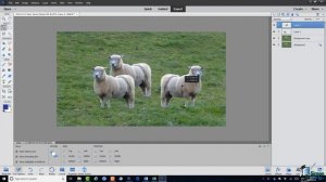 Using Layers in Photoshop. How to Use Layers in Adobe Photoshop Elements 2019 Tutorial - Part 2