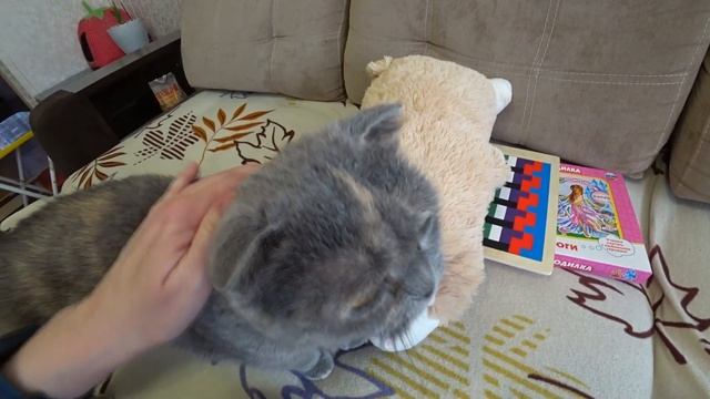 ВЛОГ : ШИКАРНАЯ ПОГОДА / ЧТО ПОДАРИЛИ / ДОЕДАЕМ ВКУСНЯТИНУ смотреть онлайн