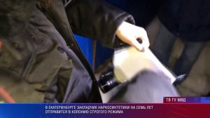 Закладчику дали семь лет зоны