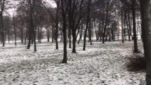 VLOG: Будни молодой мамы. Развивающие игры: рисуем ёлку. Скоро Новый год!