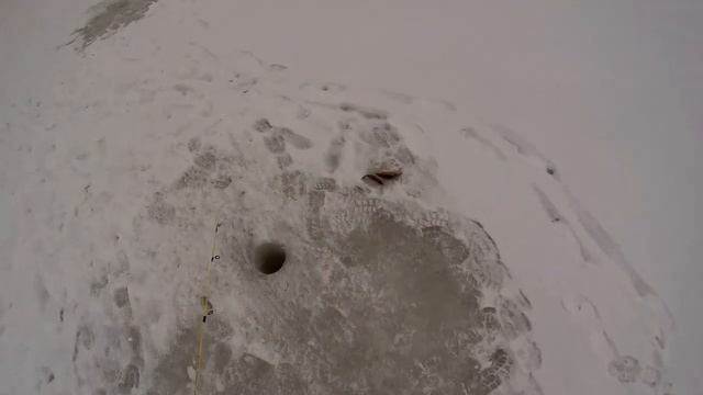 СЛОМАЛ КАТУШКУ, НО РЫБЫ НАЛОВИЛИ! РЫБАЛКА В МАРТЕ. смотреть онлайн