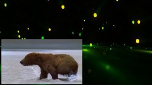 Wildlife Specials 7of7 Grizzly Documentary HD