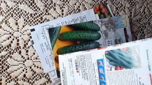 Любимые сорта огурцов.Кураж.Мурашка