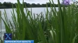 Огромная чупакабра наводит леденящий страх на жителей Придонья1