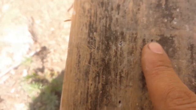 МР 155, Отстрел патронов феттер 7 с навесками 36, 32 и 30гр. смотреть онлайн