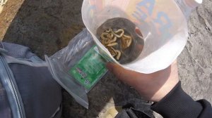 Девять дней за Полярным Кругом