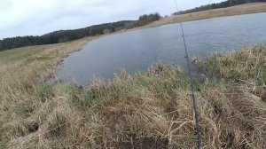 Ловля окуня на спиннинг ультралайт