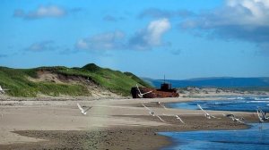 ♫ .Yuhki Kuramoto – "Second romance" (Второй роман), фото Командорские острова