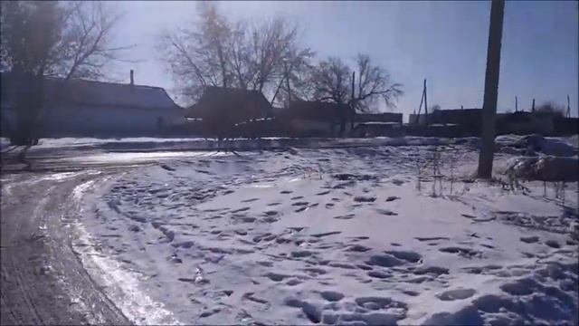 Проблема человека в современной философии
