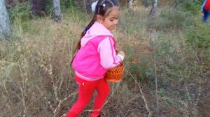 В лес за грибами за рулем L200. Лизка сама едет за рулем в лес собирать грибы.