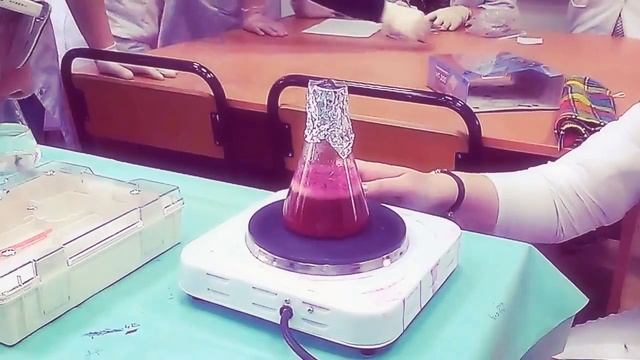 Приготовление питательной среды из агар-агара смотреть онлайн