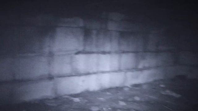 СИРЕНОГОЛОВЫЙ В РЕАЛЬНОЙ ЖИЗНИ/СИРЕНОГОЛОВЫЙ СУЩЕСТВУЕТ?