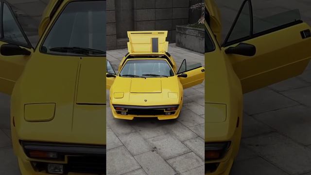 1986 Lamborghini Jalpa V8 1980's Baby Lambo #short #shorts