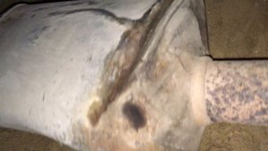 Rover 75. Новая выхлопная система от Edex.