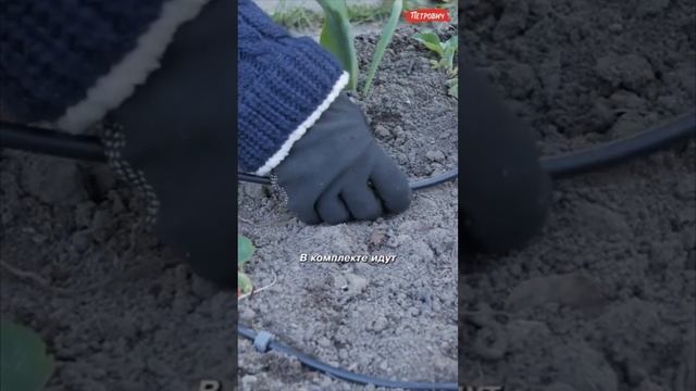 Систему капельного полива Gardena можно установить на готовые грядки и организовать, как удобно. смотреть онлайн