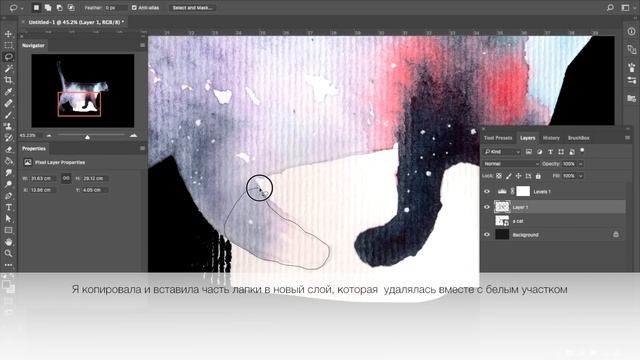Как оцифровать акварельную иллюстрацию в Adobe Photoshop