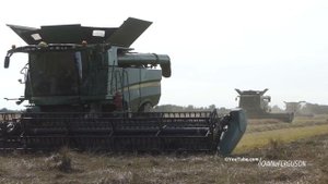 John Deere S690 & S790 harvesting grass seeds | Harvest Season 2023 (4K)