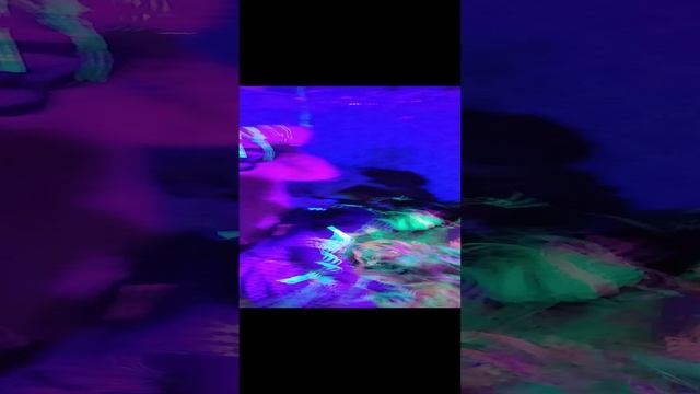 Неоновое шоу