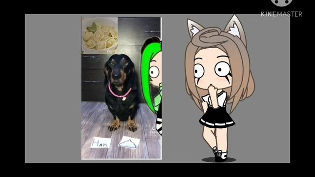 Пельмени Нямка? Или какашка? ?