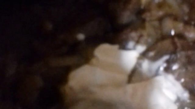 Мама готовит / едет к подругам! ☺️ #кулинария #готовимдома #рецепты #всречасподругами #вкусняшка смотреть онлайн