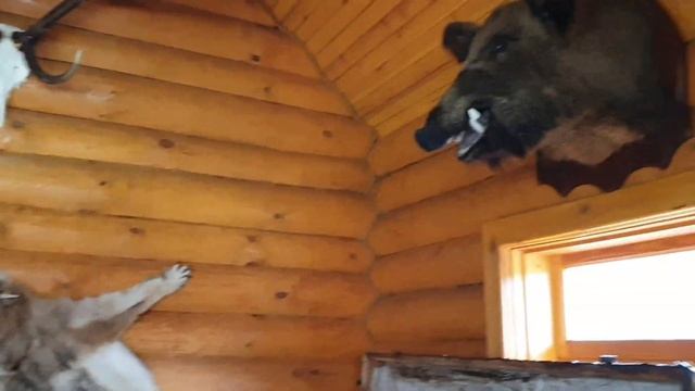 Экскурсия по Белорусскому Полесью. Солигорск-Туров-Лясковичи.