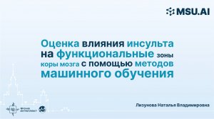 Оценка влияния инсульта на функциональные зоны коры мозга с помощью методов машинного обучения