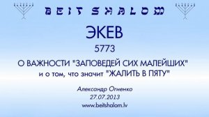 «ЭКЕВ» 5773 «О ВАЖНОСТИ ЗАПОВЕДЕЙ СИХ МАЛЕЙШИХ ...» А.Огиенко (27.07.2013)