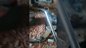 Рейлинги на Опель мерива А/Railings for Opel Meriva A