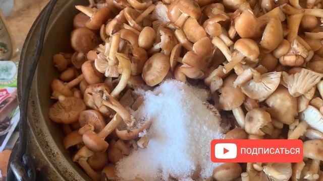 Маринованные опята. Простой, быстрый и вкусный рецепт на зиму