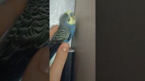 когда наказали и ты стоишь в углу и ругаешься 🤣🤣🤣