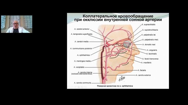 Лекция 