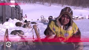 Собачий "Париж-Дакар" по Камчатке