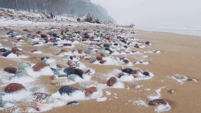 Слушать шум МОРСКОГО ПРИБОЯ. Расслабляющие Звуки ЗИМНЕГО МОРЯ с вьюгой ДЛЯ СНА