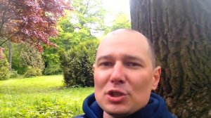 Итоговый рейтинг печей из нержавейки для русской паровой бани