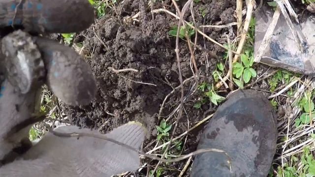 Есть первая серебряная медаль ! В поиске старины !! смотреть онлайн