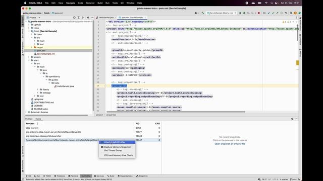 how to enable java flight recorder in IntelliJ смотреть онлайн
