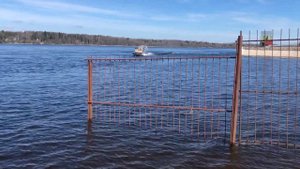 Аэролодка Бриз 555-Шт1 D17