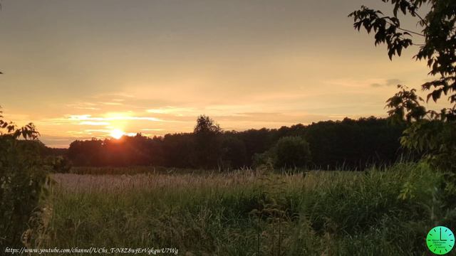 Пение соловья и сверчков для крепкого и здорового сна/Звуки природы/Sounds of nature/Relax