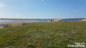 Ловля сазана на волосяную оснастку (водоем Каменное)