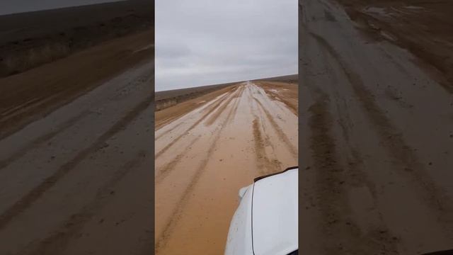 Дорога Кызылорда Жезказган смотреть онлайн