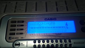 Casio Wk 3300