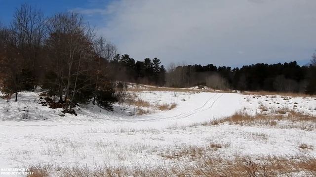 Goodbye Winter ~ West Hill Park and Dam смотреть онлайн