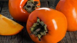 Как вырастить хурму в домашних условиях, хурма от А до Я