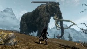 I found i huge ass mammoth in skyrim :D (console commands fun)