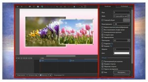Вкладка свойства PTE AV Studio .mp4