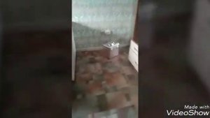 В доме творятся непонятные вещи/вещи сами двигаются/что происходит?